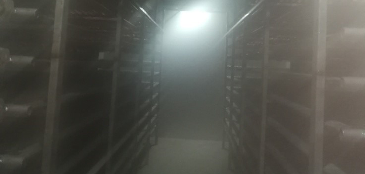 Quick frozen processing application- fast frozen tunnel for seafood-申博官网