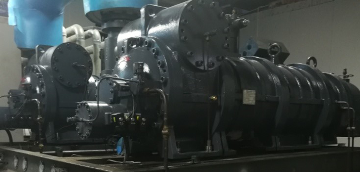 Quick frozen processing application- fast frozen tunnel for seafood-申博官网